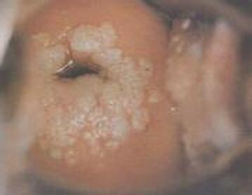 QQ截图20160523110759